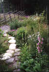 blommor1.jpg (63151 byte)