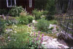 blommor2.jpg (77792 byte)