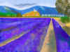 prov3.jpg (13052 byte)