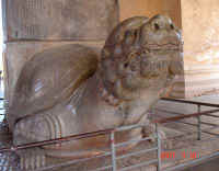 1156skoldp.jpg (16651 byte)