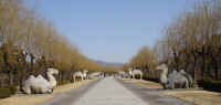 1161andev.jpg (53135 byte)