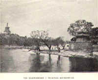 alex7.jpg (46816 byte)