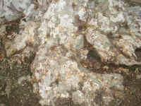 215.jpg (45121 byte)