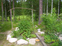 ol216.jpg (58363 byte)