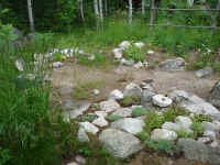 ol720.jpg (58985 byte)