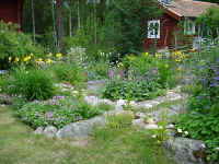 sl712.jpg (48896 byte)