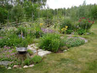 sl737.jpg (63709 byte)
