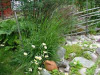 sl739.jpg (74264 byte)