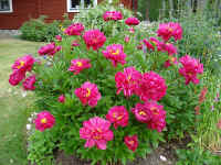 sl754.jpg
(72787 byte)