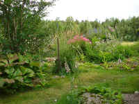 sl907.jpg
(63117 byte)